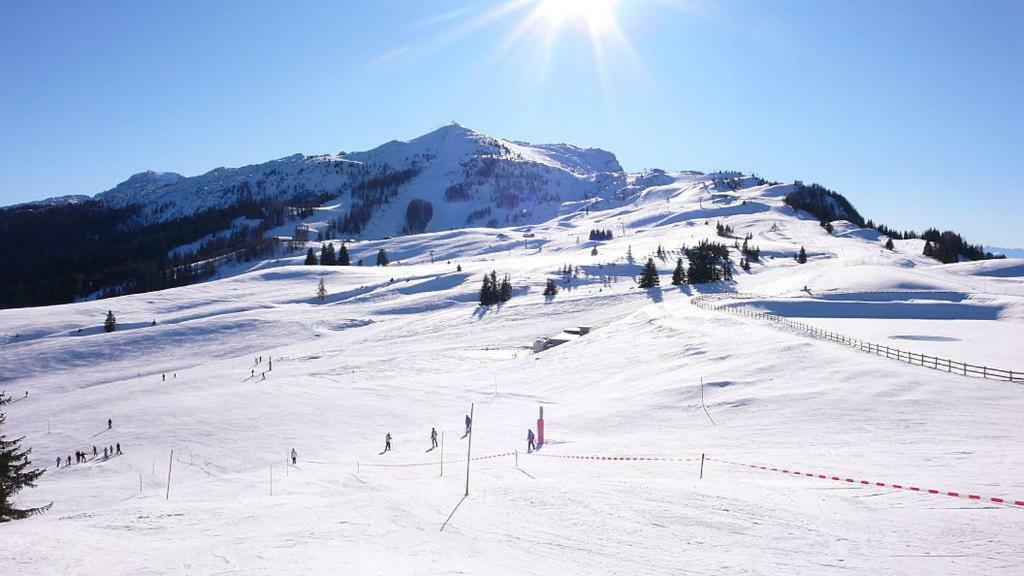 Ferienwohnung Blick Auf Die Berge Pidingerau Eksteriør bilde